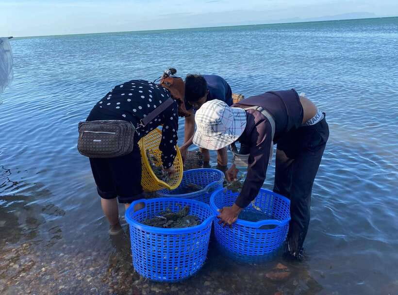 A Day Trip to Kep Beach and Kampot from Phnom Penh - Key highlights worth planning for