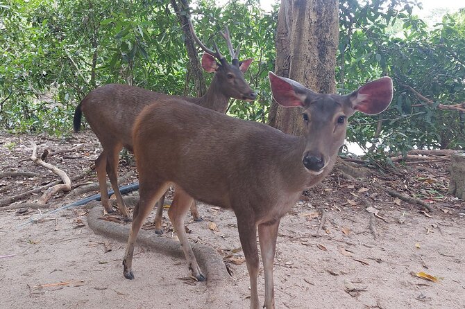 A Day Trip To Phnom Chisor - Tonle Batti From Phnom Penh - What to bring and how to pace the day