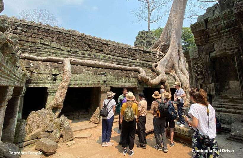 From Phnom Penh: Angkor Wat, Bayon, and Ta Prohm Day Trip - Ta Prohm: the Tomb Raider temple where nature takes the lead