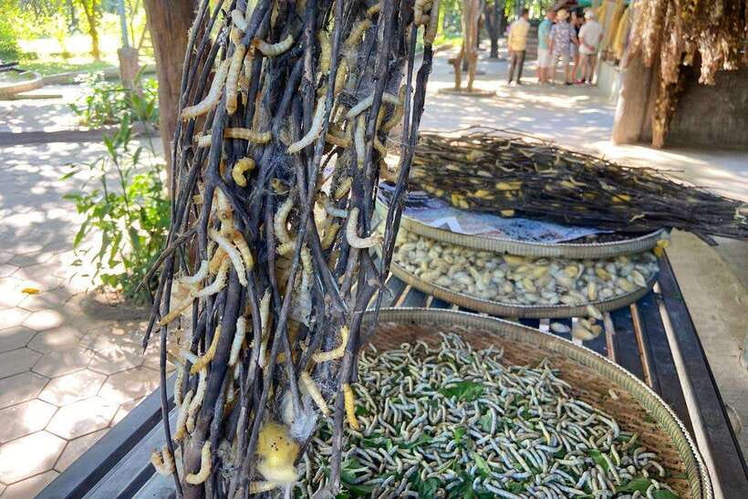 From Phnom Penh: Half-Day Silk Island Tour with Guide - Village circuit on Silk Island: seasonal crops and school timing reality