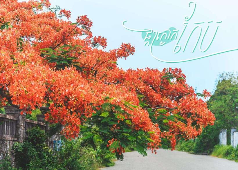 From Phnom Penh: Kampot and Kep Day Trip with English Guide - Price and Logistics: Is $159 Good Value?