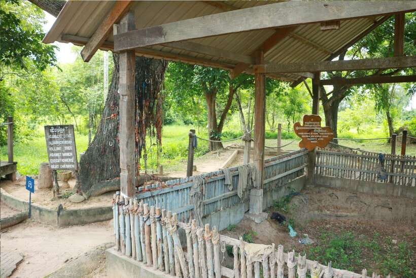 Full Day Phnom Penh City Tour with Private vehicle and guide - Wat Phnom: a classic viewpoint stop