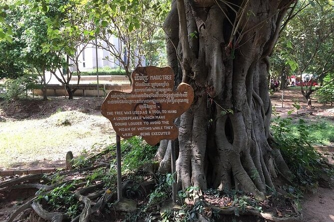 Half Day Trip to Killing Field and Genocidal Museum - Price and tickets: what you’re really paying for