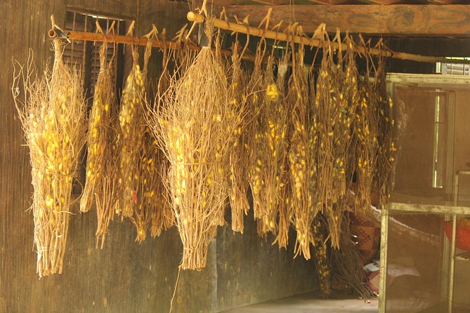 Island Community Life in Phnom Penh - What’s Included (and What You’ll Still Need to Plan For)