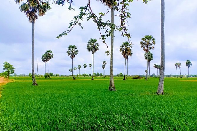 Killing Field & Paddy Rice Fields Tuk Tuk Adventure - A 7:30am Start That Actually Gets You Out of Phnom Penh
