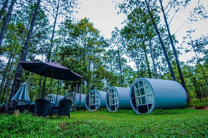 Kirirom National Park Private Day Tour from Phnom Penh - A smart escape to Kirirom and Chambok