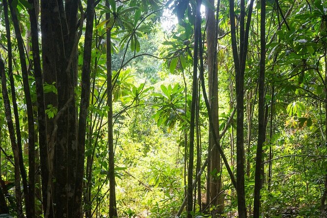 Kirirom National Park Private Day Tour from Phnom Penh - Entering Kirirom National Park: why the history matters on-site