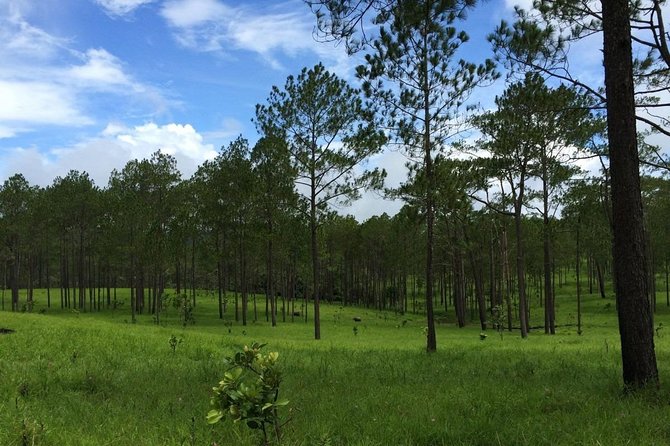 Kirirom National Park Private Day Tour from Phnom Penh - Price and value: is $127 per person fair?