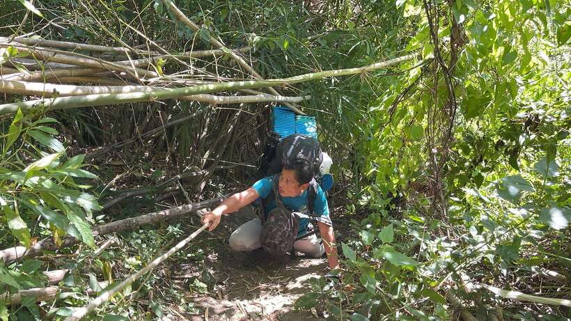 Phnom Penh: 2-Day Aural Mountains Hiking Adventure - Day 2: breakfast at 7AM, the airplane crash site, then the summit by noon
