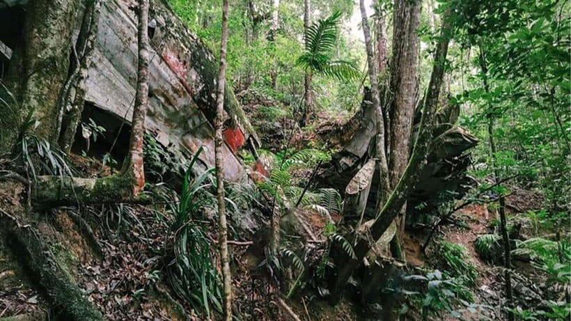 Phnom Penh: 2-Day Aural Mountains Hiking Adventure - Tractor rides in the rain season, then straight into dense jungle trail
