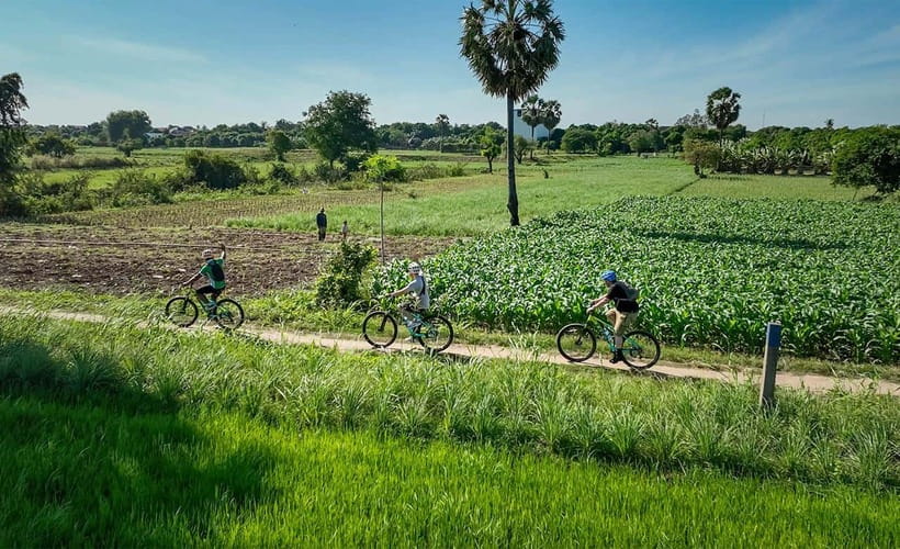 Phnom Penh: Bike & Boat Tour / E-Bike Available - Starting at Sisowath Riverside Park: photos, orientation, and an easy first step