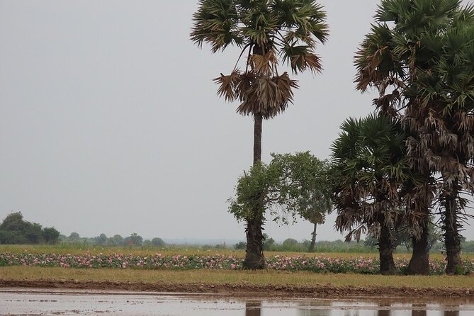 Phnom Penh Countryside Cycle Tour - How hard is the ride, really? Bikes, pacing, and group size