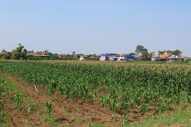 Phnom Penh Countryside Cycle Tour - Price and what you truly get for $45