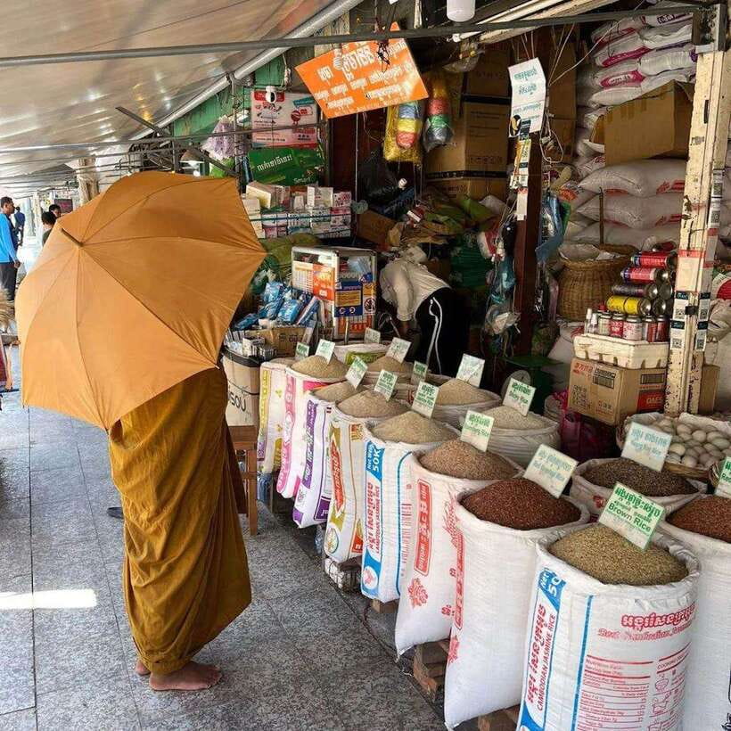Phnom Penh | Food & Street Art Half Day Tour by Tuk Tuk - Wat Botum Park: why the art route sometimes meets the sacred