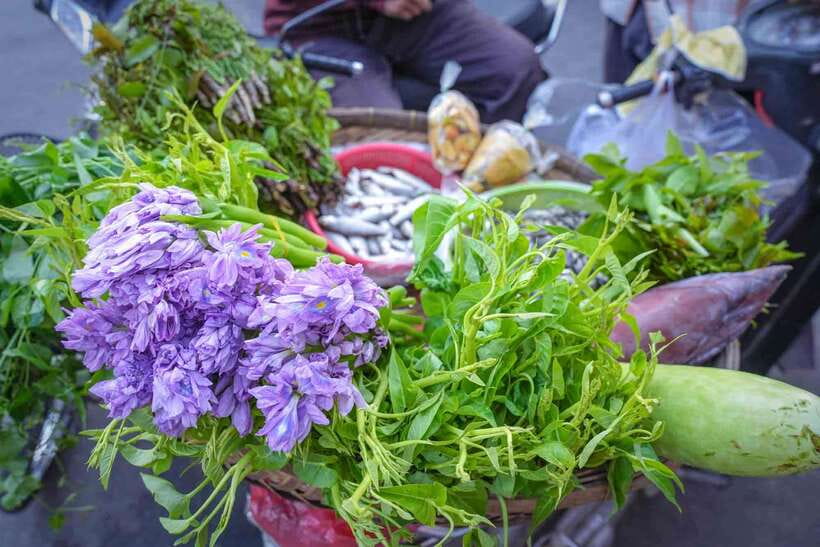Phnom Penh: Morning Market & Guided Breakfast Tour by Tuktuk - Savory Turmeric Crepes: The Yellow Wrap You Make With Your Hands