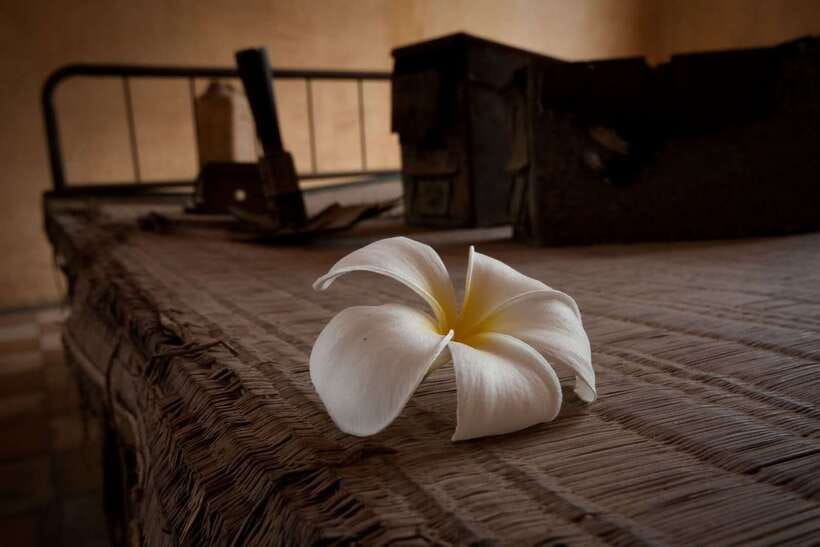 Phnom Penh private tour Tuol Sleng & Choeng Ek Killing Field - Key things that make this tour work