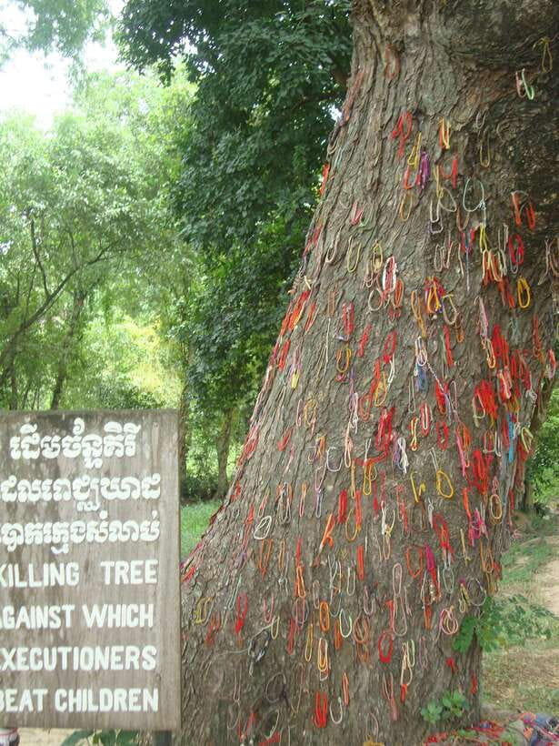 Phnom Penh: S-21 Prison and Killing Fields Half-Day Tour - A morning in Phnom Penh that changes how you see the city