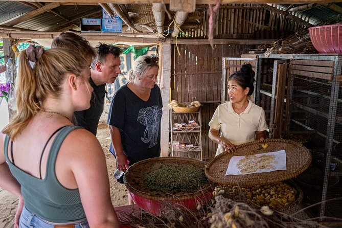 Phnom Penh Silk Island Bike Tour/ E-Bike or Tuk Tuk - Riding from Phnom Penh to Mekong Silk Island: what the half-day is really like