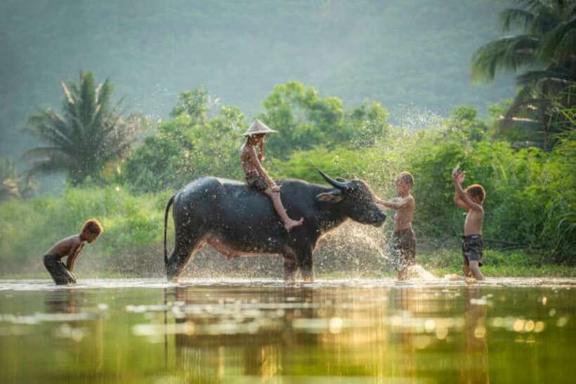 Phnom Penh to Siem Reap cruise/land tour (one way) - Should You Book the Phnom Penh to Siem Reap Tara One-Way?
