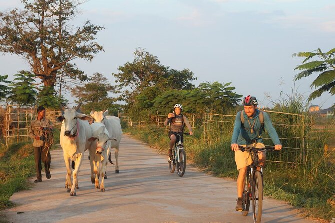 Silk Island at Twilight Cycle Encounter - Key highlights