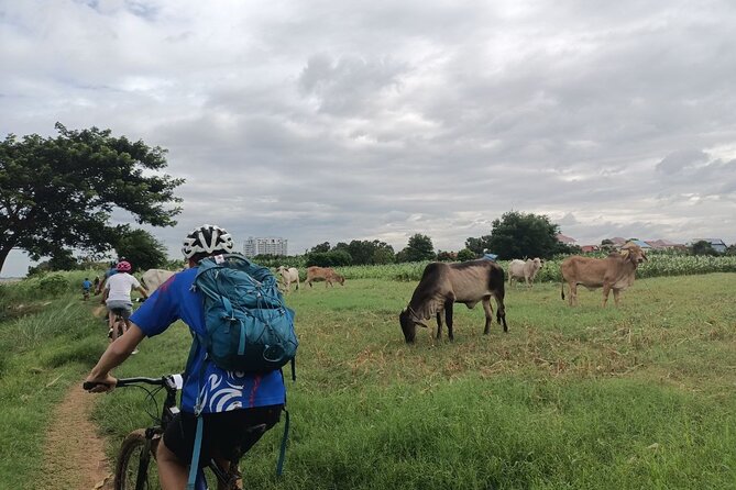 Silk Island at Twilight Cycle Encounter - Getting to the Water: Pickup at 2pm and the Ferry Start