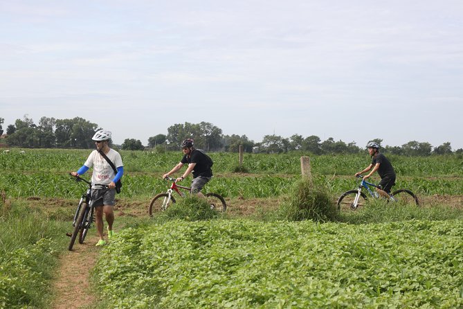 Silk Island Cycling Adventure & lunch with locals - Price and Value: Is $45 Fair for What You Get?